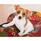 Diamond Dotz® Patchwork Pup Diamond Painting Kit